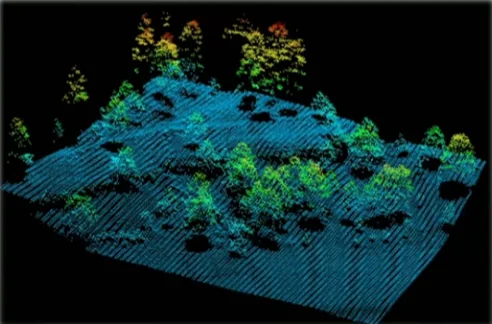 LiDAR 포인트 클라우드 — 식생·건물 포함