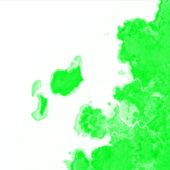 Random Forest 맹그로브 분류 결과