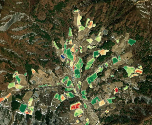 강원 고랭지 배추밭 — NDVI 기반 경작지 추출